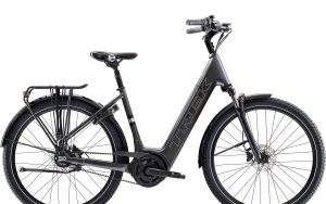 TREK District+ 3 Lowstep Belt