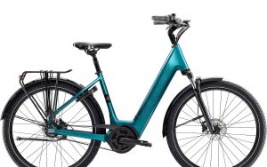 TREK District+ 3 Lowstep Belt