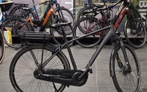 Giant  Entour E+ 1 RB GTS-WOB 25km/h